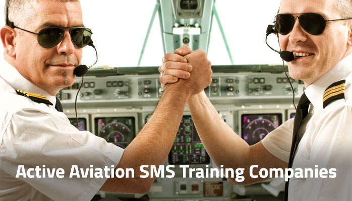 Download Free Aviation SMS Training Company List pilots in cockpit